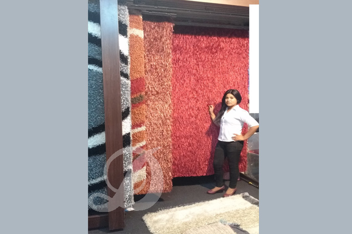 ALFOMBRA ROLLO