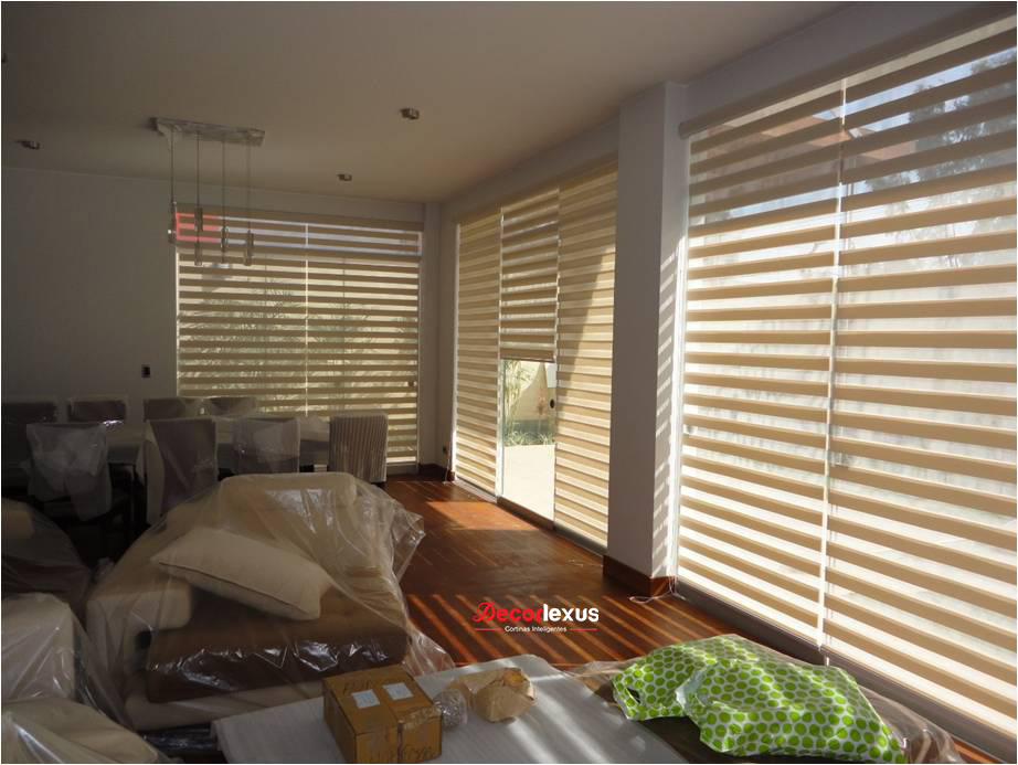 DUAL ZEBRA & SHANGRILA