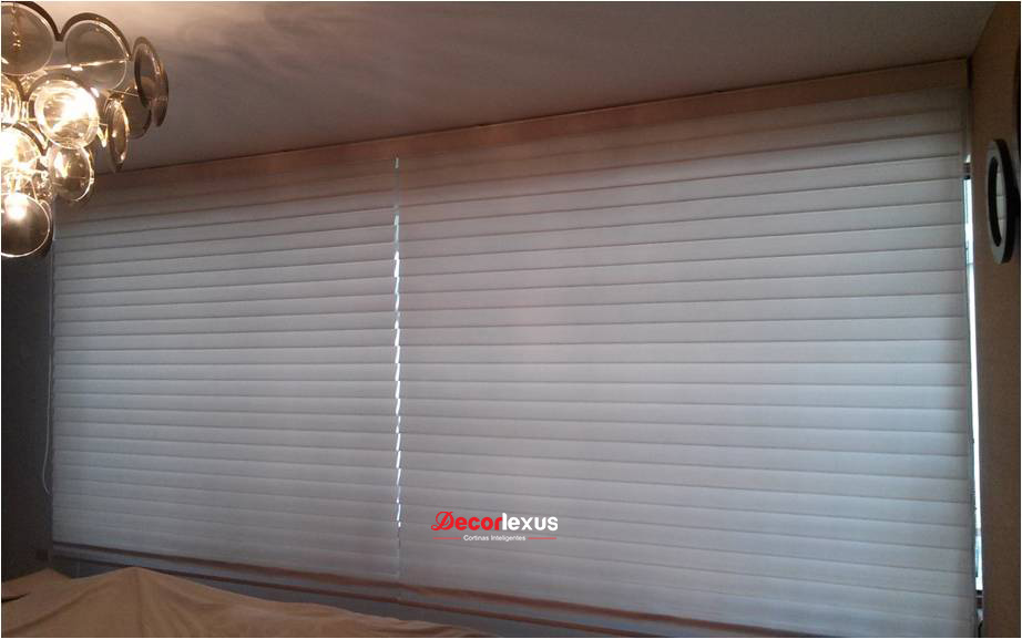 DUAL ZEBRA & SHANGRILA